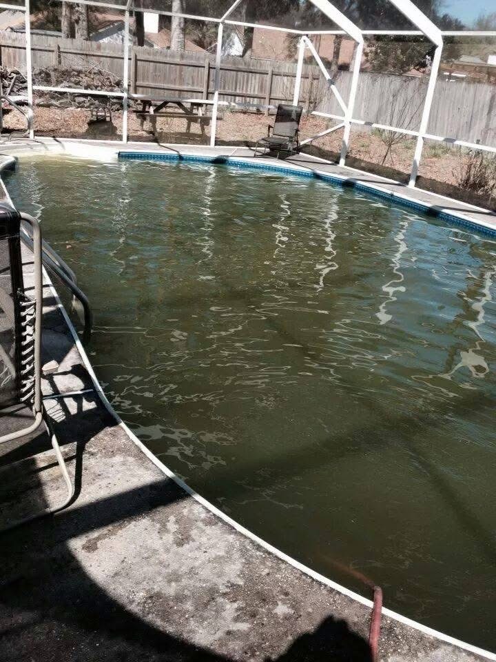 Green pool cleaning gulf breeze florida