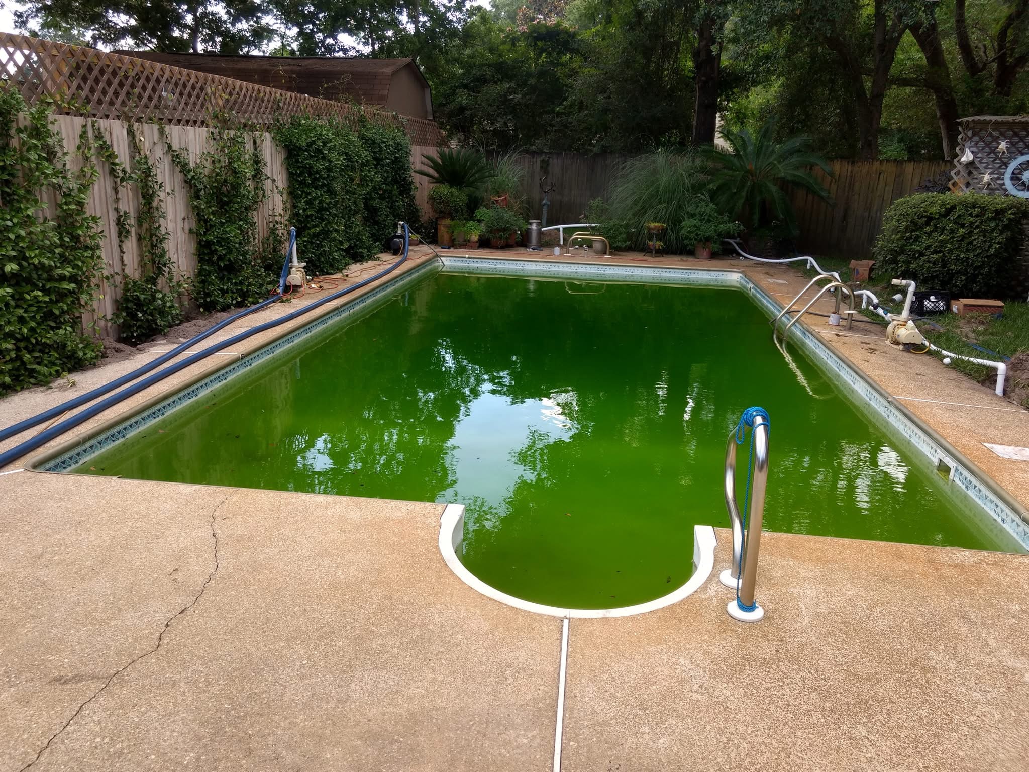 Green pool cleaning gulf breeze florida