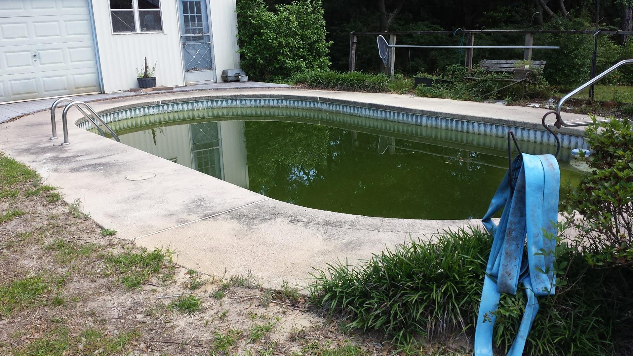 Green pool cleaning