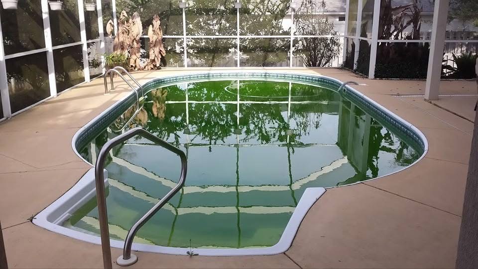 Green pool cleaning Green pool cleaning
