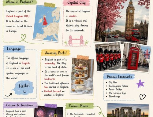 What You’ll Find in This Guide